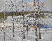 Winter landscape of Norrland with birch trees